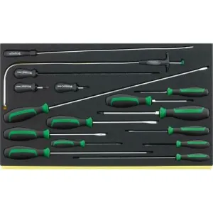 Stahlwille 96832098 TCS 4621/4734/16 DRALL  set of screwdrivers 16 pcs