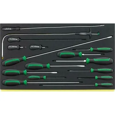 Stahlwille 96832098 TCS 4621/4734/16 DRALL  set of screwdrivers 16 pcs