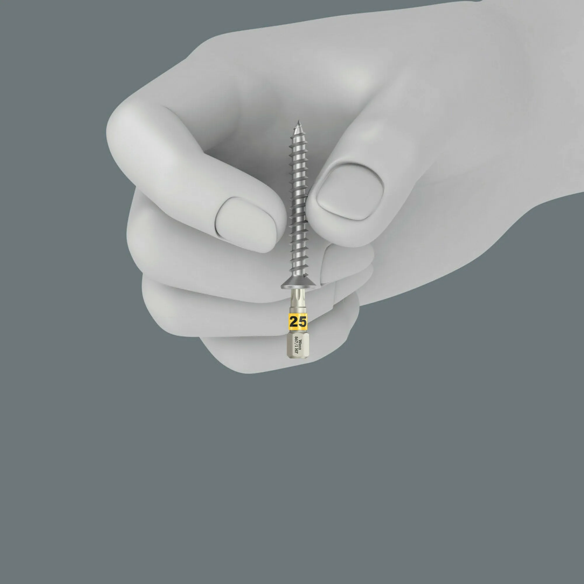 Wera 867/1 TORX HF Bits with holding function, TX 25 x 25 mm