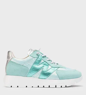 WONDERS A-2464 METALLIC BLUE